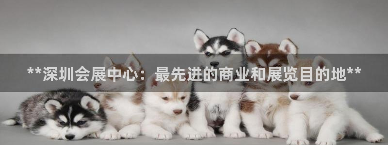果博平台开户电话查询：**深圳会展中心：最先进的商业和展览目的地**