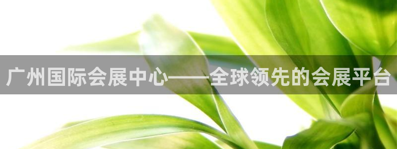 果博公司会员注册账号：广州国际会展中心——全球领先的会展平台