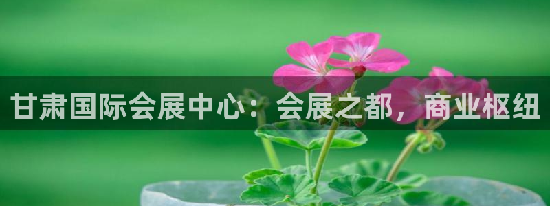 果博注册客服电话是多少：甘肃国际会展中心：会展之都，商业枢纽