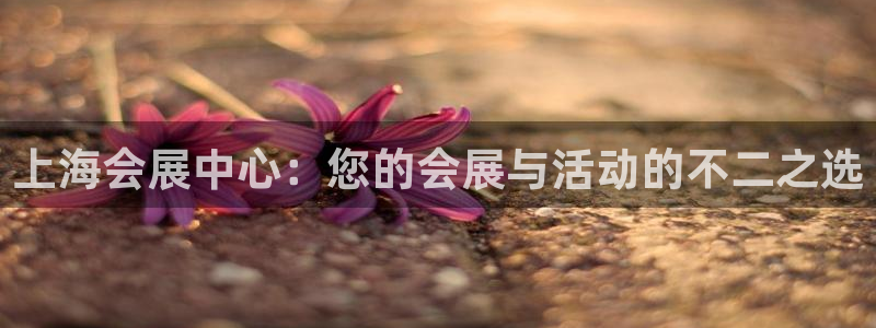 果博公司会员账号开户