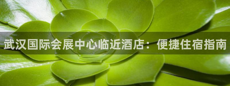 果博注册客服电话号码是多少：武汉国际会展中心临近酒店：便捷住宿指南