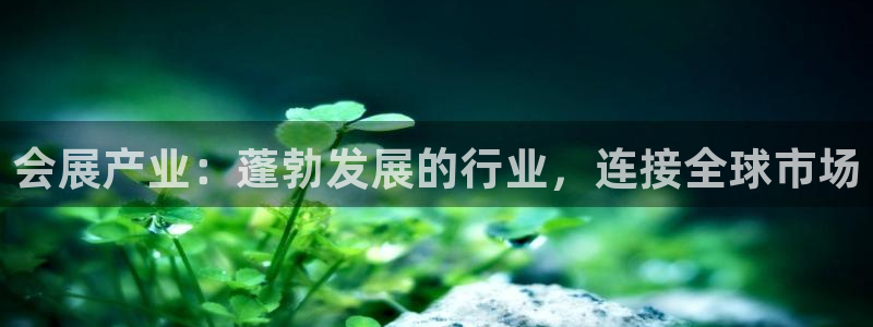 果博官网客服电话号码：会展产业：蓬勃发展的行业，连接全球市场