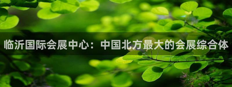 果博公司会员注册：临沂国际会展中心：中国北方最大的会展综合体