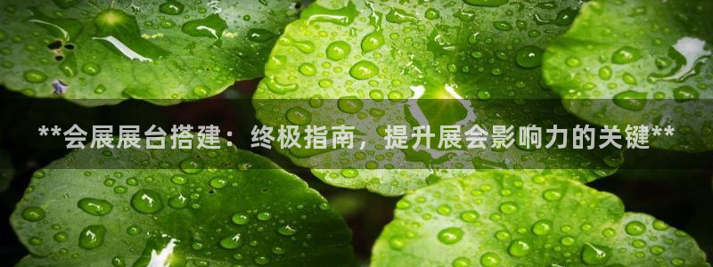 果博gbe168：**会展展台搭建：终极指南，提升展会影响力的关键**