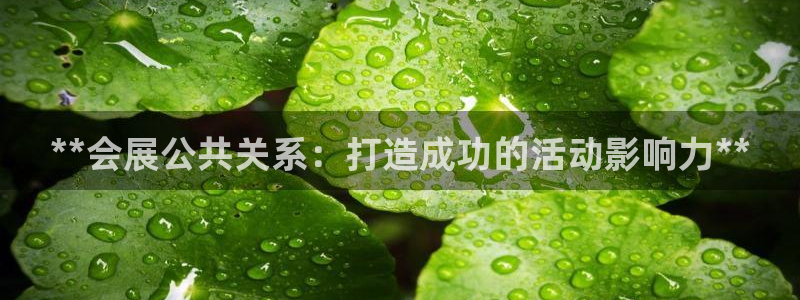 电脑怎么下载果考网：**会展公共关系：打造成功的活动影响力**