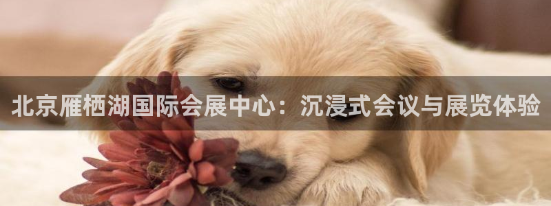 果博gbe168：北京雁栖湖国际会展中心：沉浸式会议与展览体验