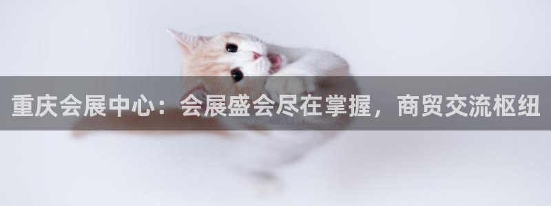 果博公司注册：重庆会展中心：会展盛会尽在掌握，商贸交流枢纽
