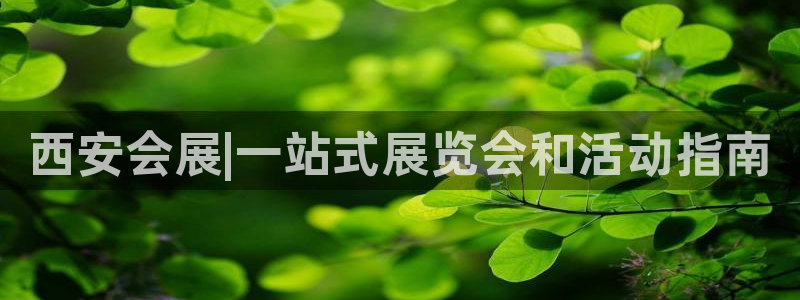 果博官网在银博：西安会展|一站式展览会和