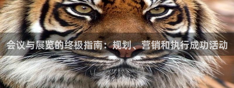 果博代理怎么注册：会议与展览的终极指南：规划、营销和执行成功活动