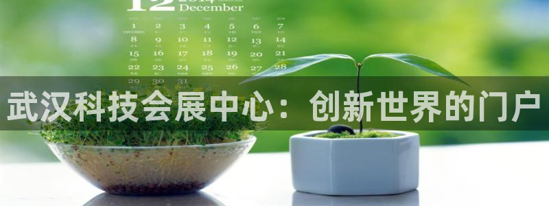 果博公司会员开户：武汉科技会展中心：创新世界的门户