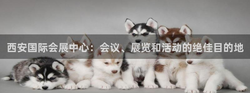果博公司会员怎么开户：西安国际会展中心：会议、展览和活动的绝佳目的地