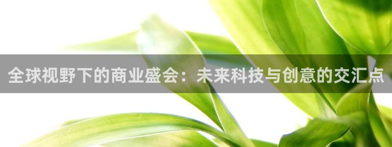 果博官网首页：全球视野下的商业盛会：未来科技与创意的交汇点