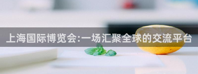 果博公司客服联系方式：上海国际博览会:一场汇聚全球的交流平台