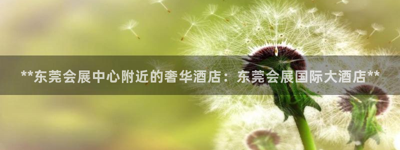 果博注册平台怎么注册的：**东莞会展中心附近的奢华酒店：东莞会展国际大酒店**