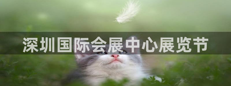 果博注册平台怎么注册的：深圳国际会展中心展览节
