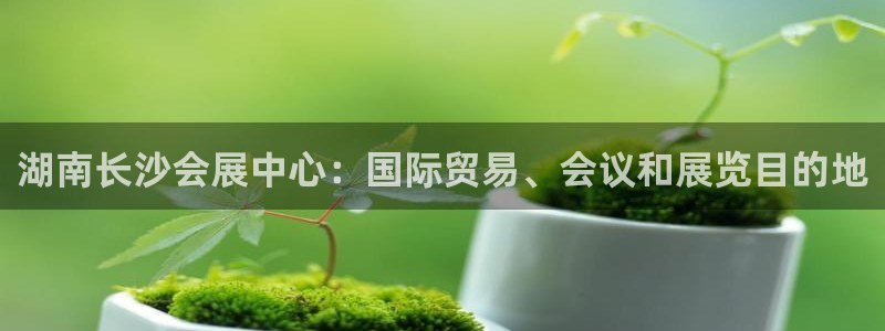 果博东手机版下载开户