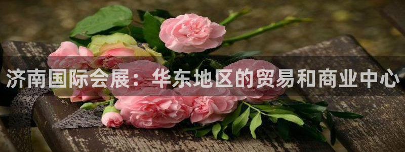 苹果电脑可以下载博易大师吗：济南国际会展：华东地区的贸易和商业中心