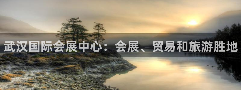 苹果电脑怎么下载博弈大师等软件：武汉国际会展中心：会展、贸易和旅游胜地