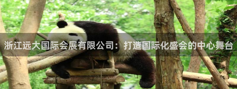 果博平台开户电话查询：浙江远大国际会展有限公司：打造国际化盛会的中心舞台