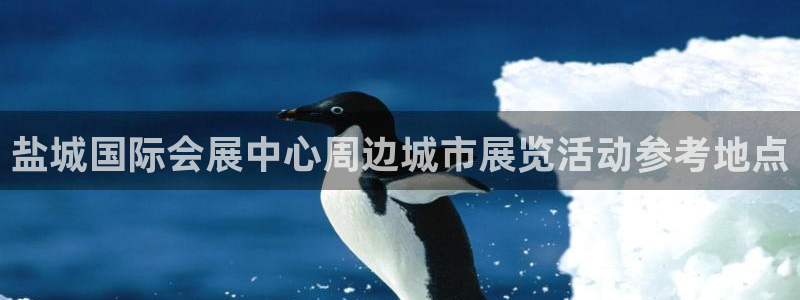 苹果电脑怎么下载伯索：盐城国际会展中心周边城市展览活动参考地点