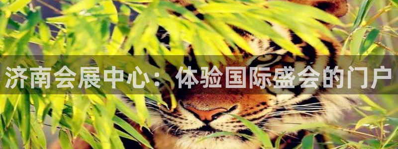 果博代理怎么注册：济南会展中心：体验国际盛会的门户