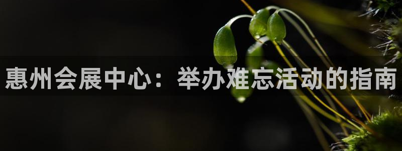 果博公司电话：惠州会展中心：举办难忘活动的指南
