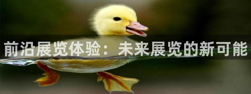 果博注册充值怎么退款：前沿展览体验：未来