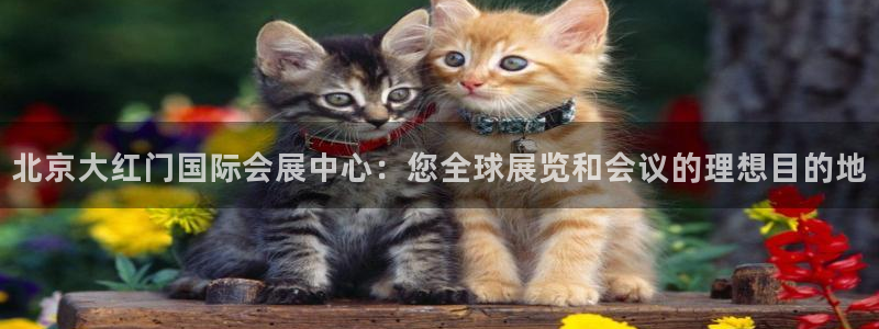 果博平台链接：北京大红门国际会展中心：您全球展览和会议的理想目的地