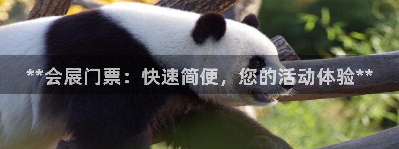 果博平台客服电话：**会展门票：快速简便，您的活动体验**
