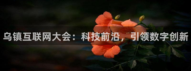 果博平台怎么下载?：乌镇互联网大会：科技前沿，引领数字创新