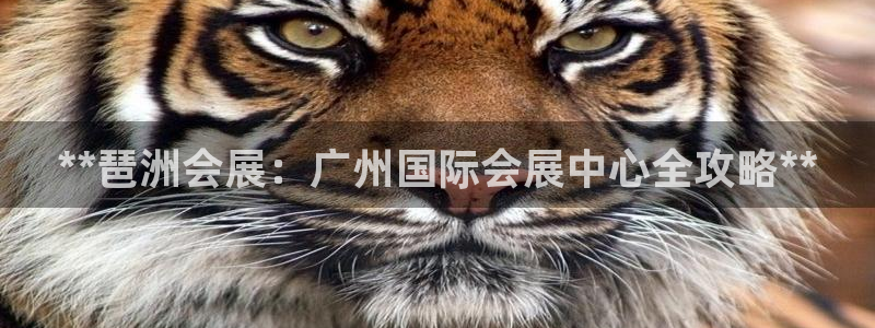 果博公司注册：**琶洲会展：广州国际会展中心全攻略**