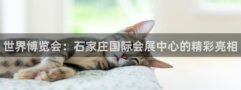 果博代理电话多少：世界博览会：石家庄国际会展中心的精彩亮相