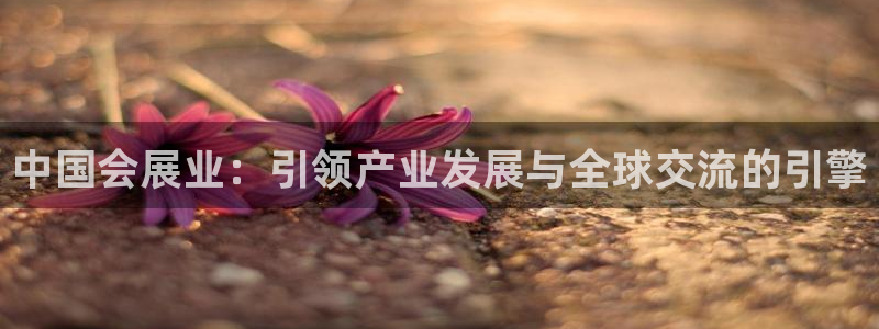 苹果手机能下载果博吗：中国会展业：引领产业发展与全球交流的引擎