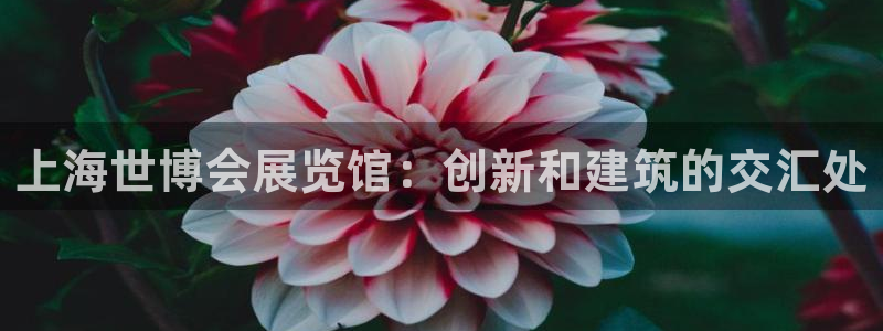 果博平台真实吗知乎：上海世博会展览馆：创新和建筑的交汇处