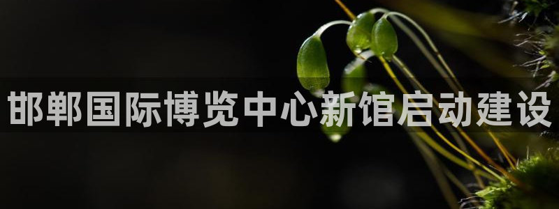 果博平台真实吗安全吗可信吗：邯郸国际博览中心新馆启动建设
