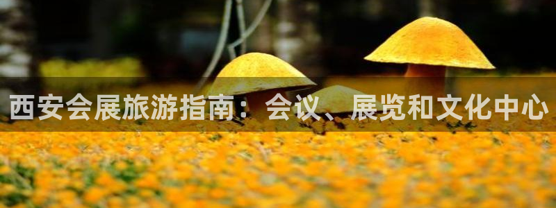果博gbe168：西安会展旅游指南：会议、展览和文化中心