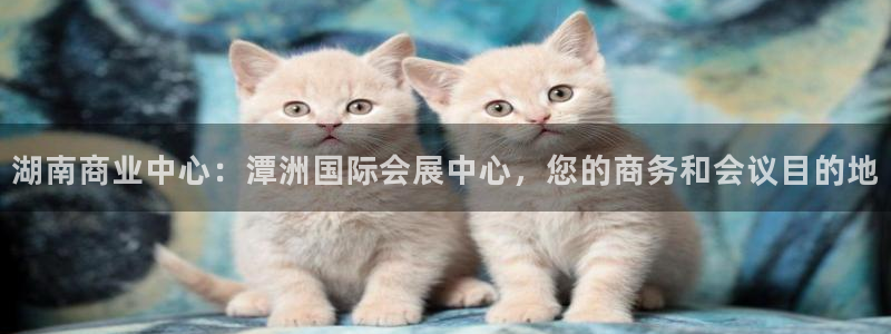 电脑怎么下载果考网：湖南商业中心：潭洲国际会展中心，您的商务和会议目的地