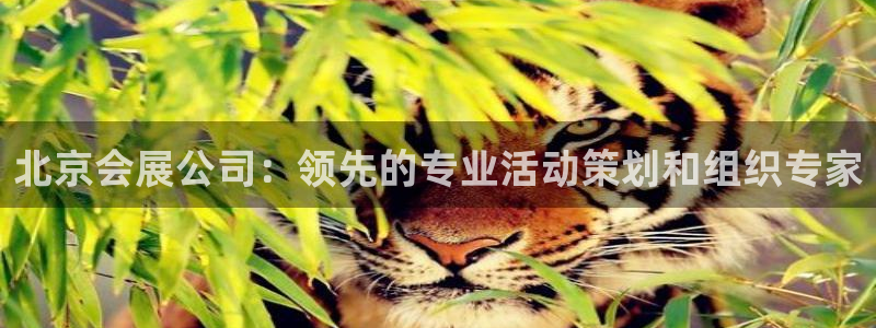 果博代理网：北京会展公司：领先的专业活动策划和组织
