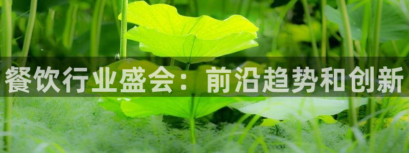 电脑怎么下载果考网：餐饮行业盛会：前沿趋势和创新