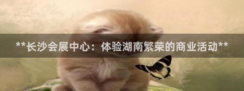 果博真人：**长沙会展中心：体验湖南繁荣的商业活动**