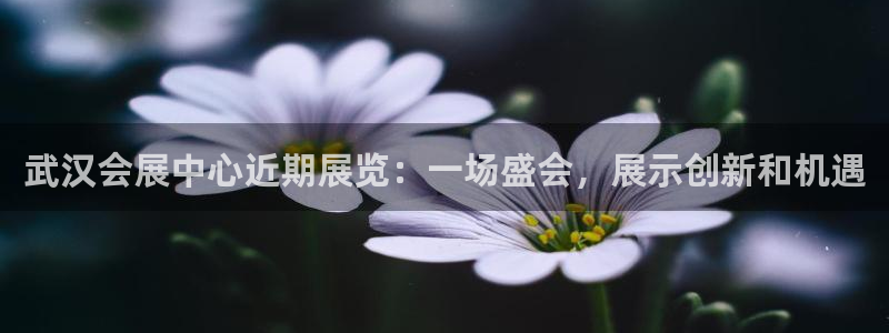 果博官网客服电话号码查询：武汉会展中心近期展览：一场盛会，展示创新和机遇
