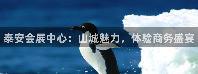 果博公司开户