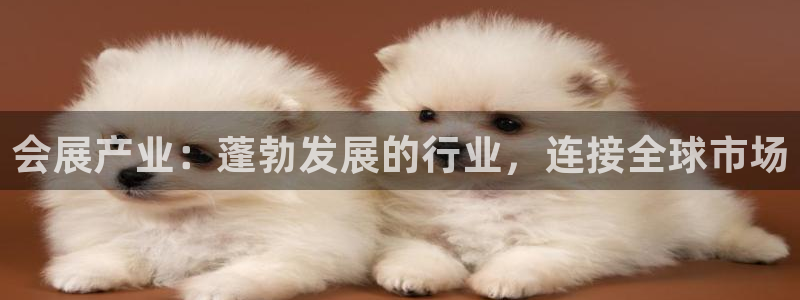果博app官网下载