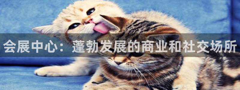 果博公司游戏网址：会展中心：蓬勃发展的商业和社交场所