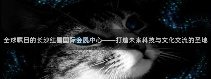 果博东官方网站怎么下载：全球瞩目的长沙红星国际会展中心——打造未来科技与文化交流的圣地