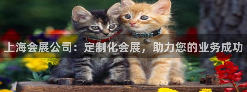 下载果博博东方：上海会展公司：定制化会展，助力您的业务成功