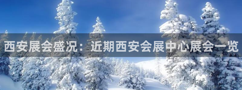 苹果电脑可以下载博易大师吗：西安展会盛况：近期西安会展中心展会一览