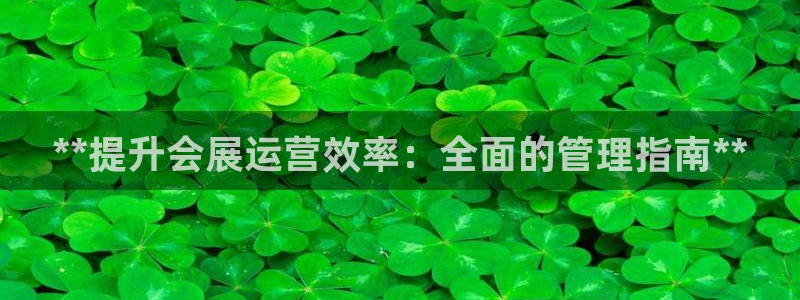 果博平台电话：**提升会展运营效率：全面的管理指南**