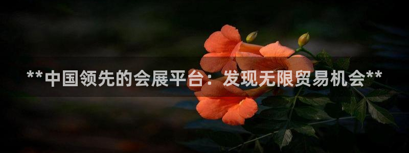 果博注册：**中国领先的会展平台：发现无限贸易机会**