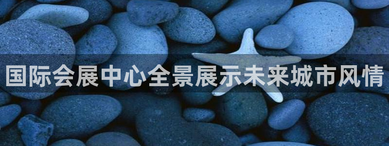 果博注册会员要钱吗：国际会展中心全景展示